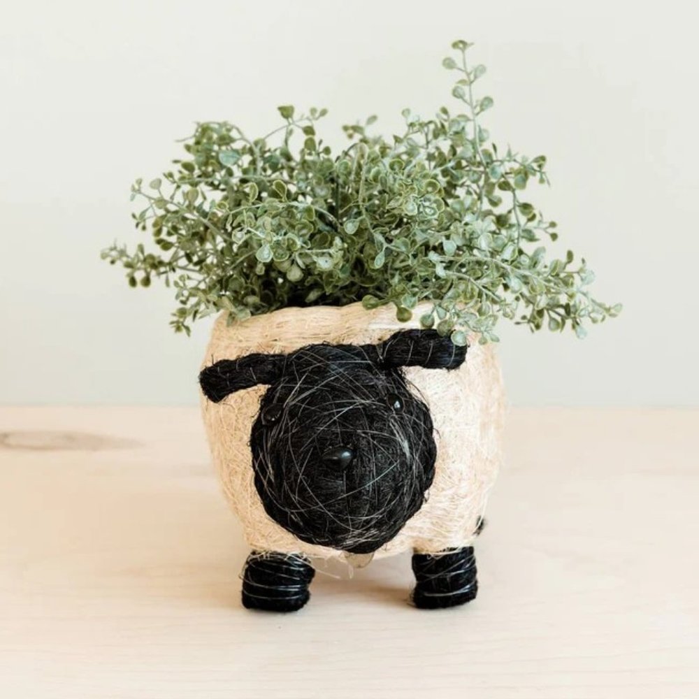 CLEARANCE Sheep Planter